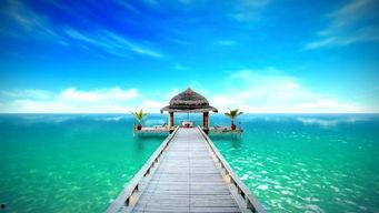 大海的旅行爆料视频,跟随旅行者足迹，揭秘海洋奇观之旅  第3张