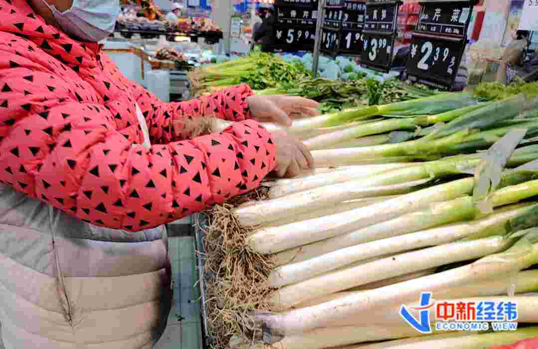 济南大葱价格最新爆料,最新市场行情揭秘 第2张 济南大葱价格最新爆料,最新市场行情揭秘 第2张